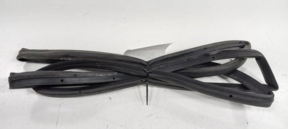 Ford Focus On Door Seal Rubber Left Rear Back 2018 2017 2016 2015 OEM