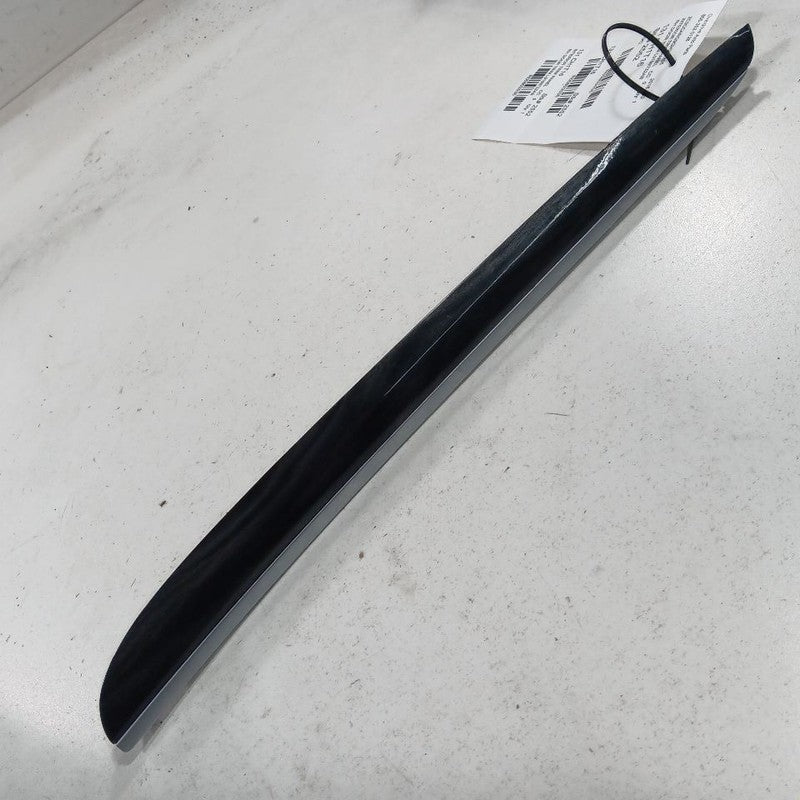 Chrysler 300 Right Side Door Trim {L0199732AB} 2015 2016 2017 2018 201
