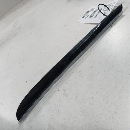 Chrysler 300 Right Side Door Trim {L0199732AB} 2015 2016 2017 2018 201
