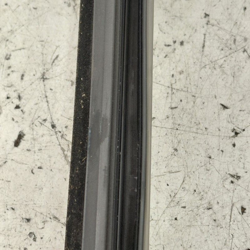 Cadillac CT6 Left Rear Weather Strip Interior  2018 2017 2016