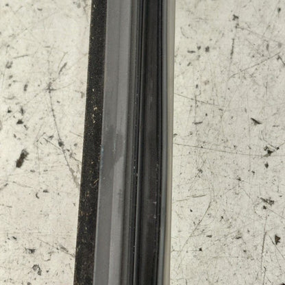 Cadillac CT6 Left Rear Weather Strip Interior  2018 2017 2016