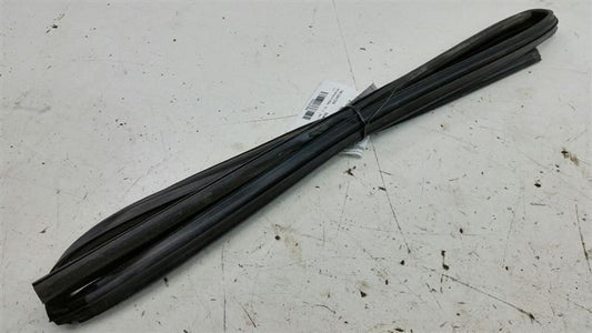 Nissan Maxima Door Glass Window Seal Rubber Gasket Right Passenger Rear 2006 