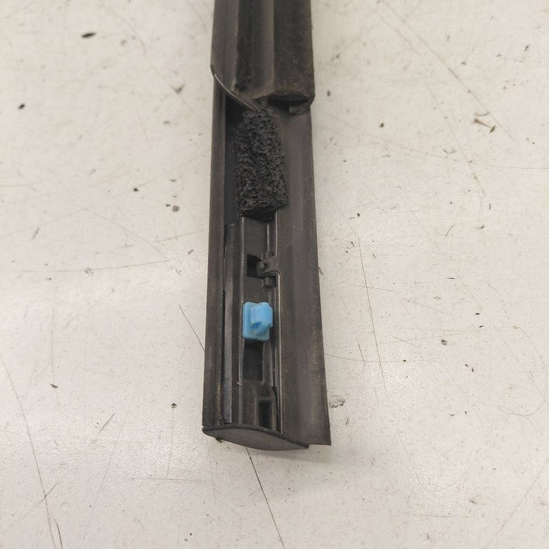 Hyundai Kona Door Glass Window Weather Strip Trim Front Right Passenge