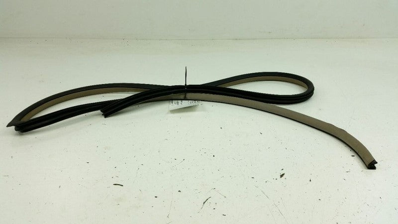  2005 Nissan Altima On Body Door Jamb Seal Gasket Front Right Passenger 2006