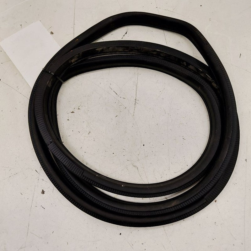 Nissan Maxima On Body Door Jamb Seal Rear Left Driver Back  2018 2017 