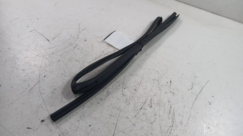 Toyota Rav 4 Door Glass Window Seal Rubber Left Rear Back  2019 2020 2