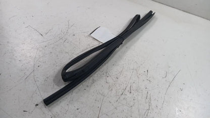 Toyota Rav 4 Door Glass Window Seal Rubber Left Rear Back  2019 2020 2