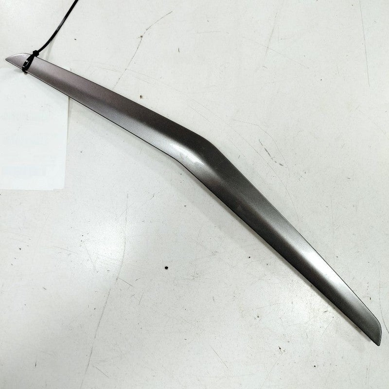 Ford Ecosport Passenger Right Front Door Molding {GN15A24184} 2018 201