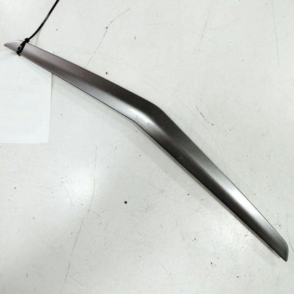 Ford Ecosport Passenger Right Front Door Molding {GN15A24184} 2018 201