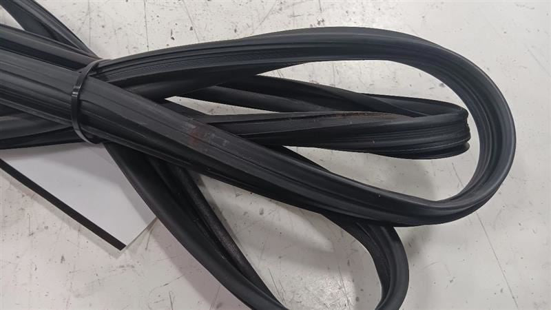 Subaru Forester Door Glass Window Seal Rubber Left Driver Front  2017 