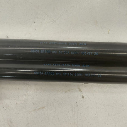 Nissan Rogue Hatchback Hatch Back Trunk Lid Shock Strut Support  2021 