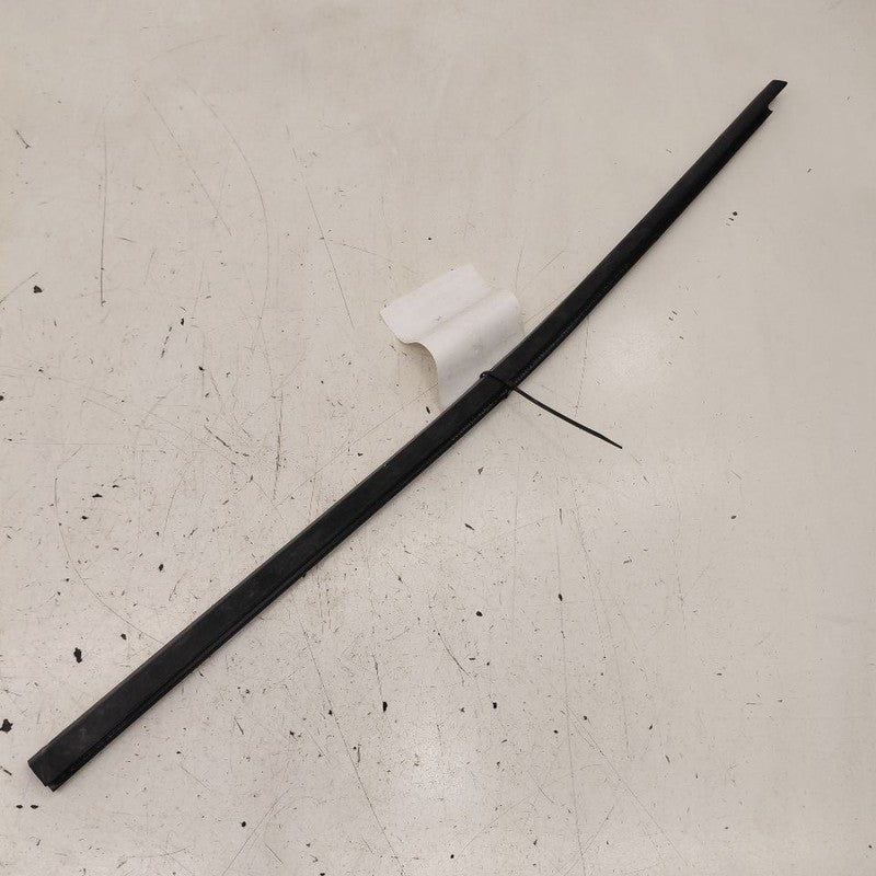 Chevy Volt Door Glass Window Weather Strip Trim Front Left Driver 2019
