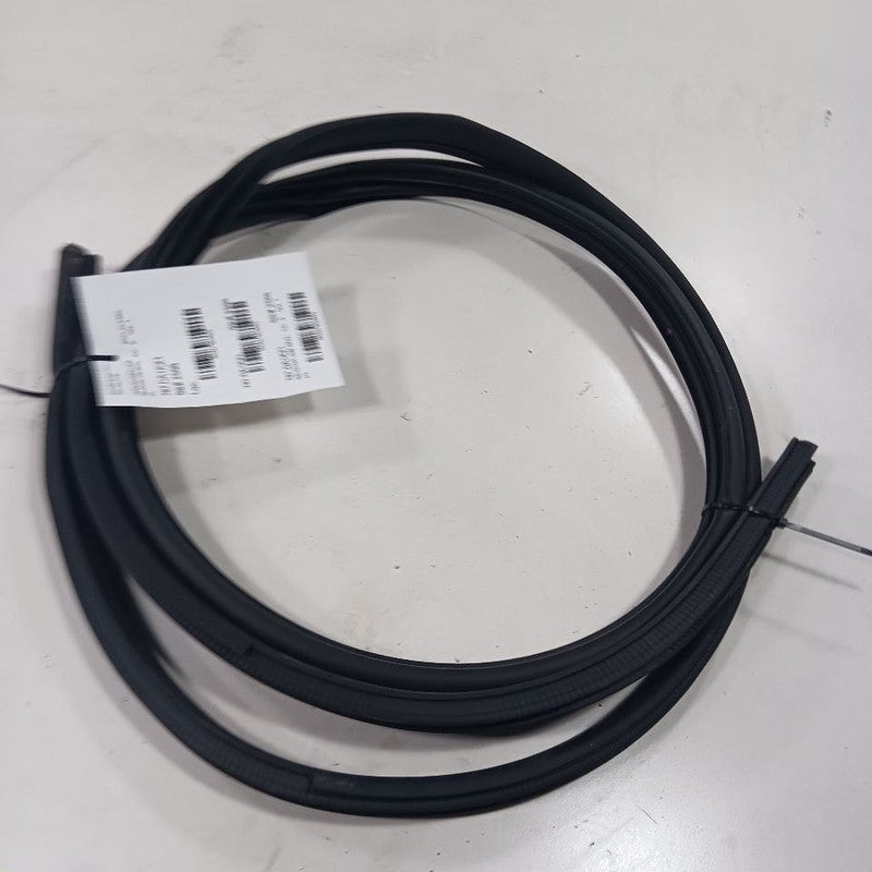 Nissan Altima On Body Door Jamb Seal Rear Right Passenger Back 2023 20
