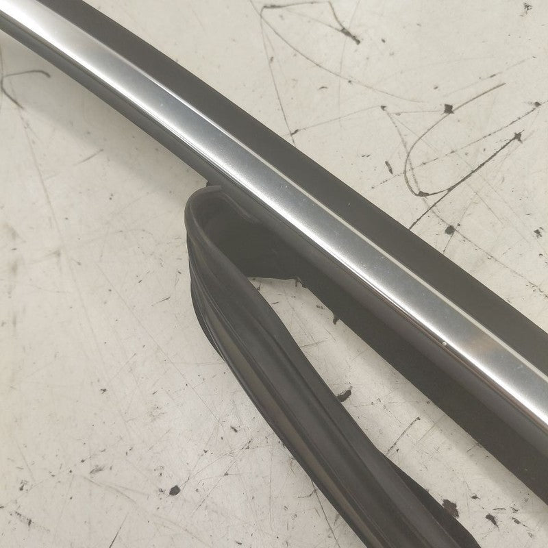 Volvo S60 Door Glass Window Seal Rubber Left Driver Front  2013 2014 2