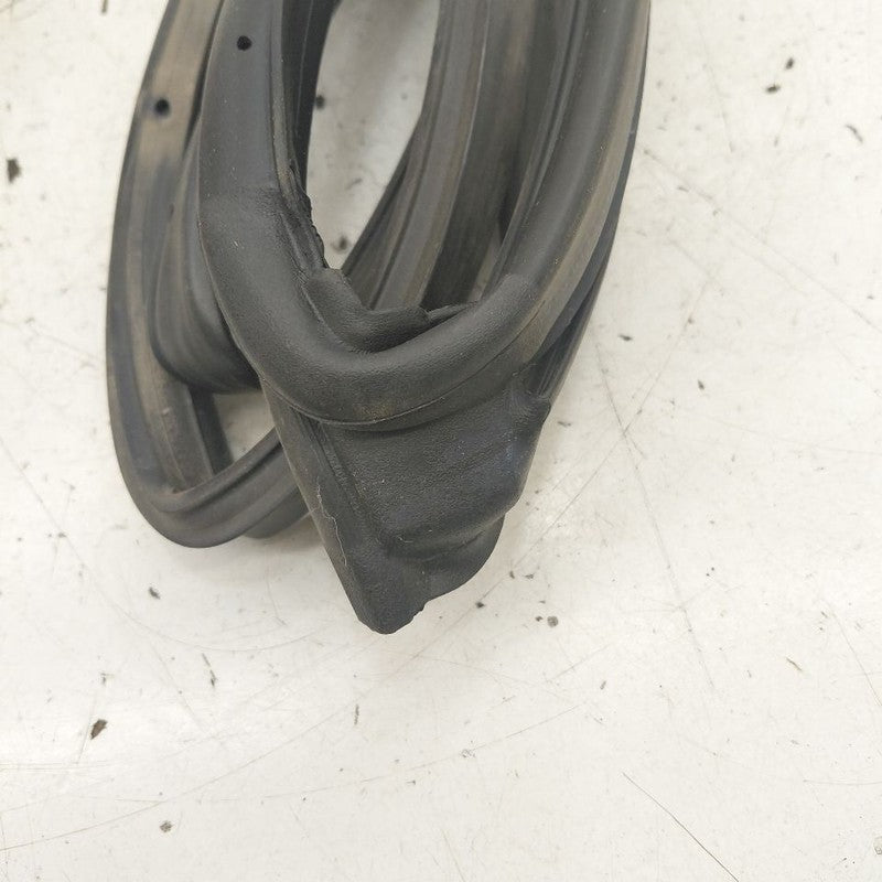 Hyundai Kona On Door Seal Rubber Right Passenger Rear Back  2021 2020 