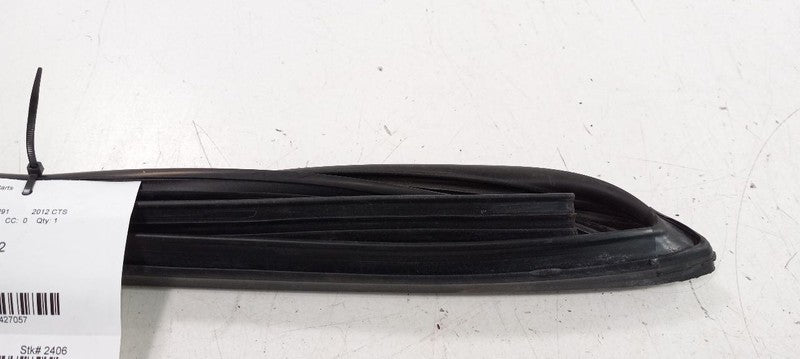 Cadillac CTS Door Glass Window Seal Rubber Right Front Passenger 2011 