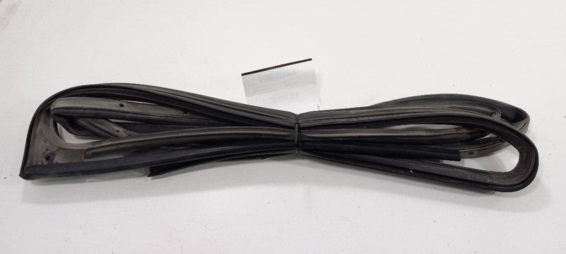 Hyundai Santa Fe On Door Seal Rubber Left Rear Back 2010 2011 2012 OEM