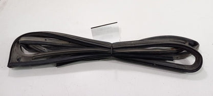 Hyundai Santa Fe On Door Seal Rubber Left Rear Back 2010 2011 2012 OEM
