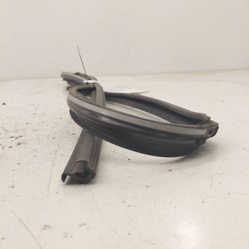 Honda CR-V Door Glass Window Seal Rubber Left Driver Front  2019 2018 