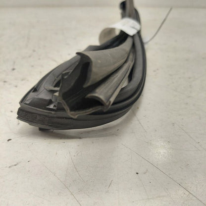 Nissan Murano Door Glass Window Seal Rubber Right Passenger Rear Back 