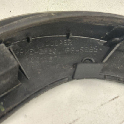 Fiat 500 X Model  Door Glass Window Seal Rubber Left Driver Rear Back 
