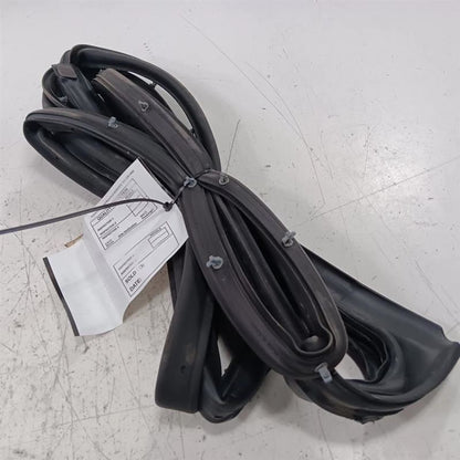 Buick Encore On Door Seal Rubber Right Passenger Rear Back  2018 2019 