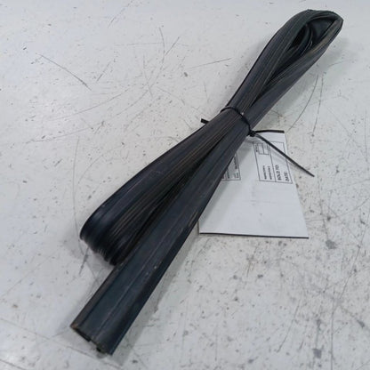 Kia Forte Door Glass Window Seal Rubber Left Driver Front  2015 2016 2