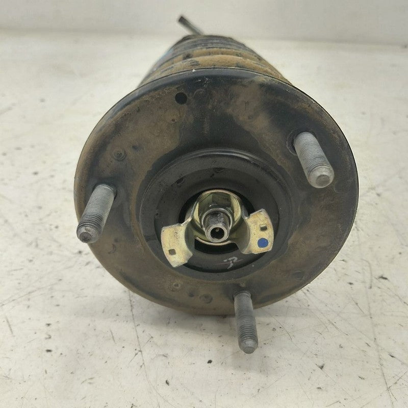 Driver Left Front Strut AWD Without Sport Package Fits 14-20 Lexus IS3