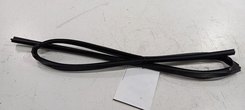 Toyota Corolla Door Glass Window Seal Rubber Left Rear Back 2019 2018 17