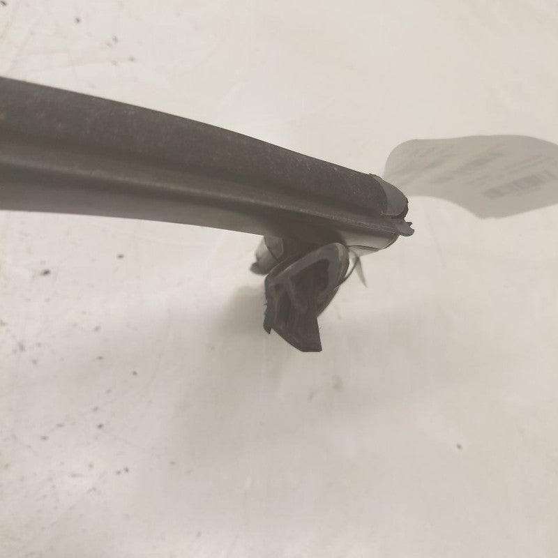 Volkswagen Golf Door Glass Window Seal Rubber Right Passenger Front  2