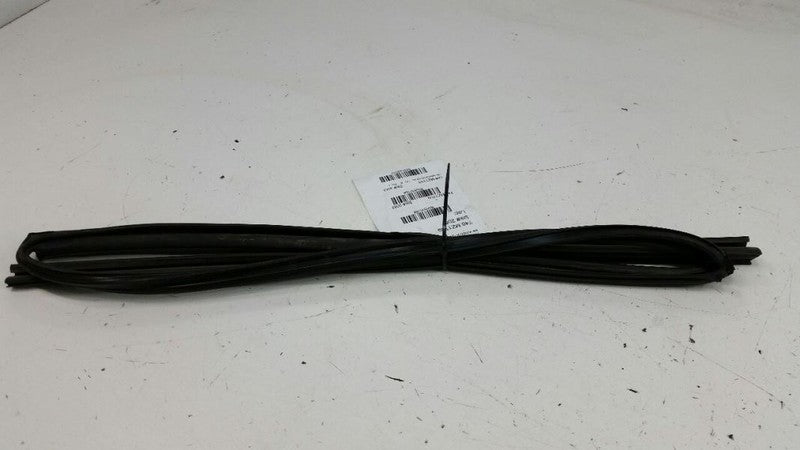  2009 Mazda 6 Door Glass Window Seal Rubber Gasket Right Passenger Rear Back