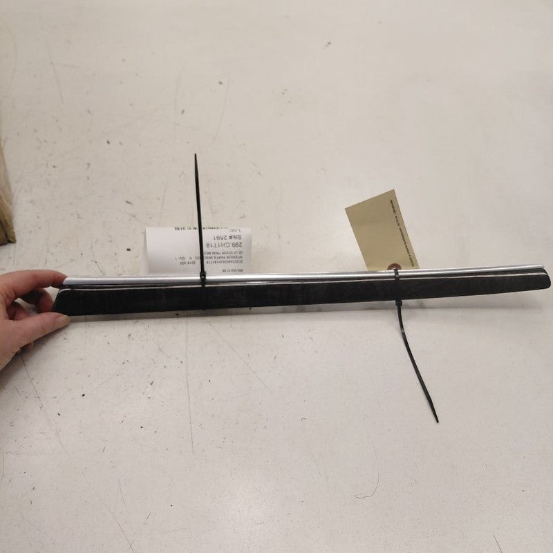 Chrysler 300 Driver Left Front Door Trim Bezel 2017 2018 2019
