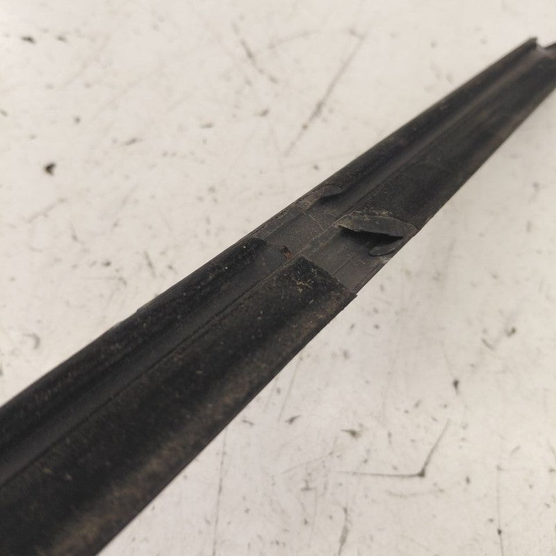 Chevy Volt Door Glass Window Weather Strip Trim Rear Left Driver Back 
