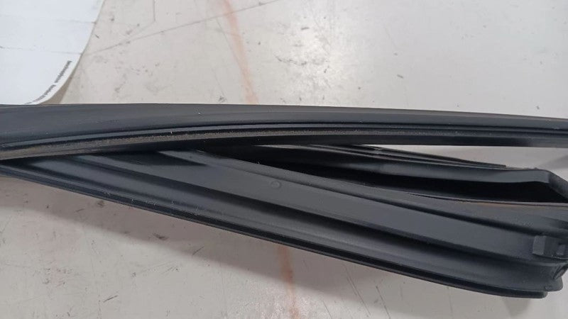 Toyota Camry Door Glass Window Seal Rubber Left Rear Back  2021 2022 2