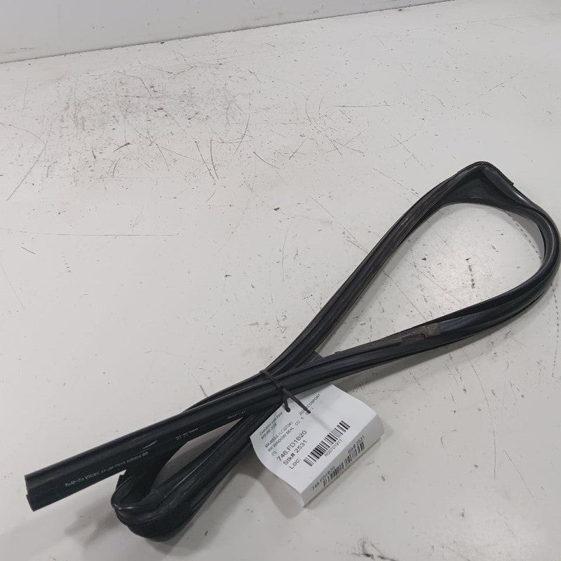 Ford Ecosport Door Glass Window Seal Rubber Right Passenger Rear Back 
