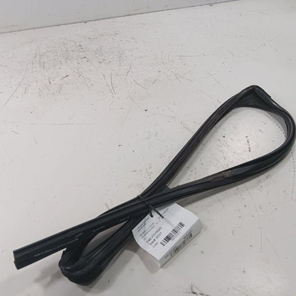 Ford Ecosport Door Glass Window Seal Rubber Right Passenger Rear Back 