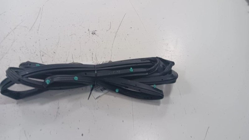 Honda Civic On Door Seal Rubber Right Passenger Rear Back  2016 2017 2