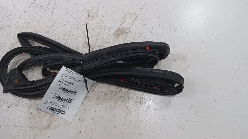 Buick Encore On Door Seal Rubber Left Driver Front  2013 2014 2015 201