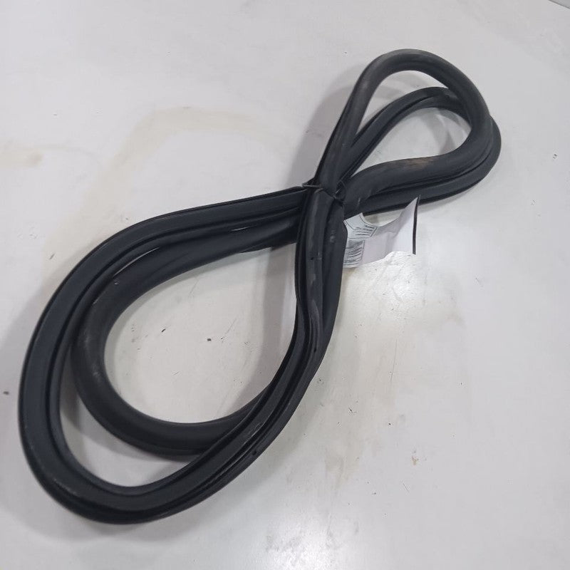 Buick Encore On Body Door Jamb Seal Rear Left Driver Back  2022 2021 2