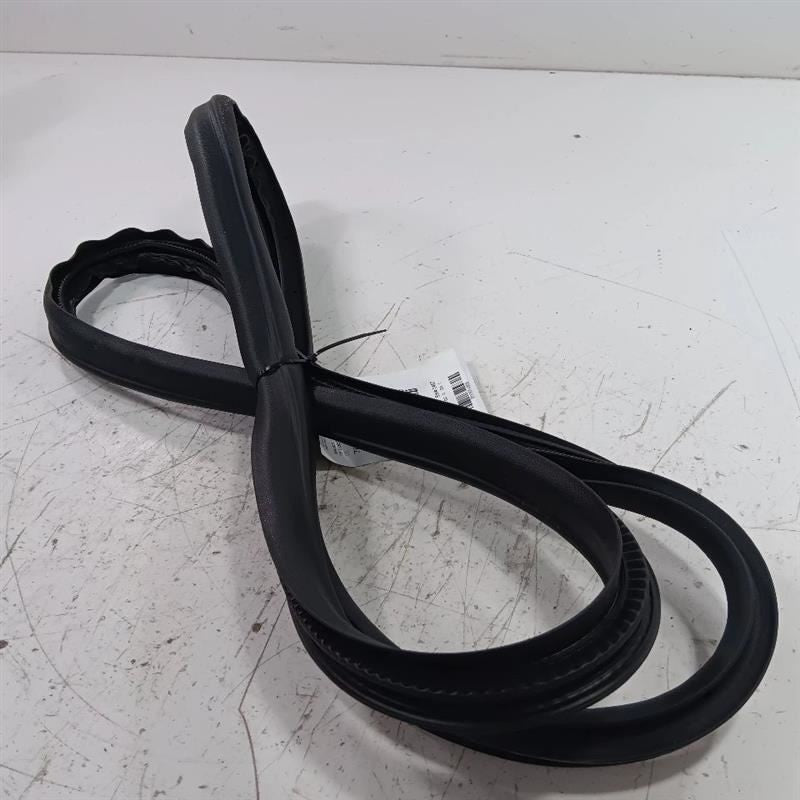 Ford Ecosport On Body Door Jamb Seal Rear Left Back  2018 2019 2020 20