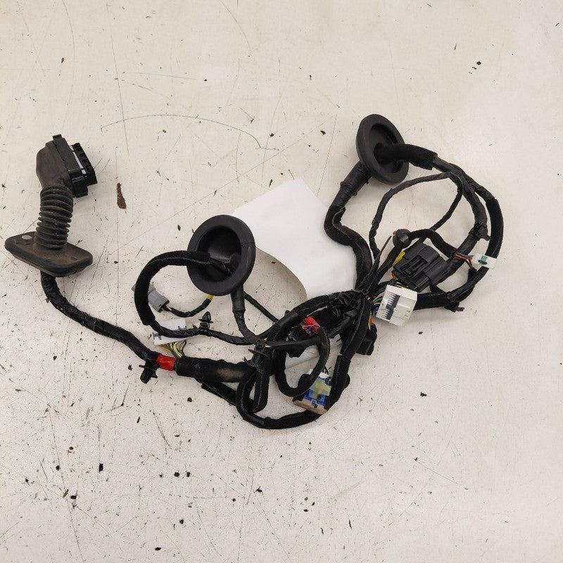 Kia Sorento Door Harness Wire Wiring Right Passenger Front  2018 2017 
