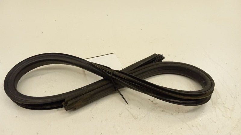 Chevy Impala Door Glass Window Seal Rubber Right Passenger Rear Back 2