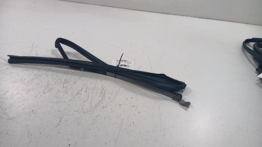 Honda Civic Door Glass Window Seal Rubber Left Rear Back  2016 2017 2018 