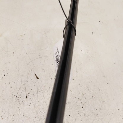 Chevy Trax Door Glass Window Weather Strip Trim Rear Right Passenger S
