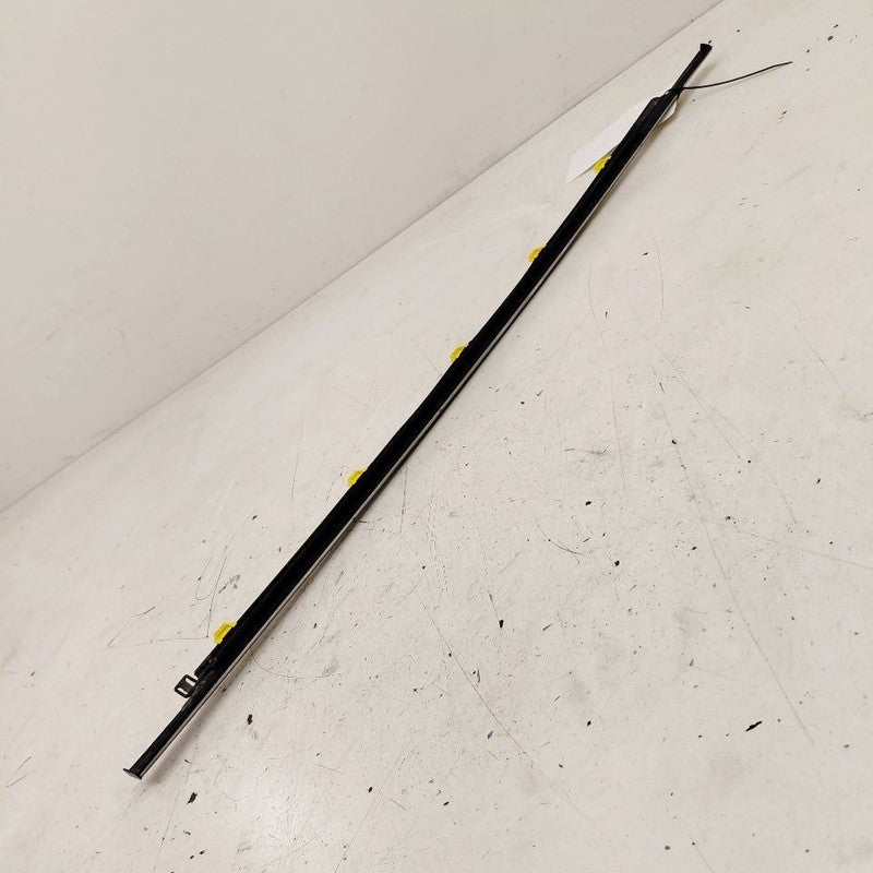 Honda CR-V Door Glass Window Weather Strip Trim Rear Left Driver Back 