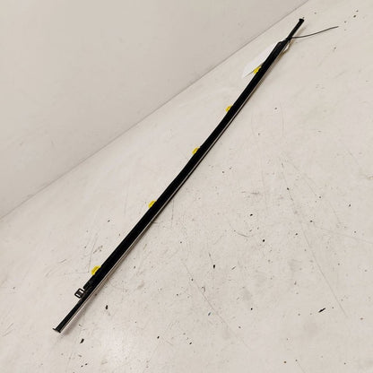 Honda CR-V Door Glass Window Weather Strip Trim Rear Left Driver Back 