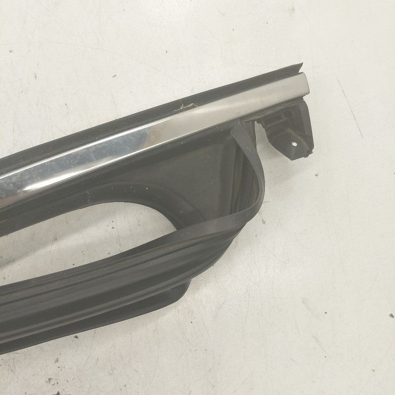 Hyundai Santa Fe Door Glass Window Seal Rubber Left Driver Front  2019