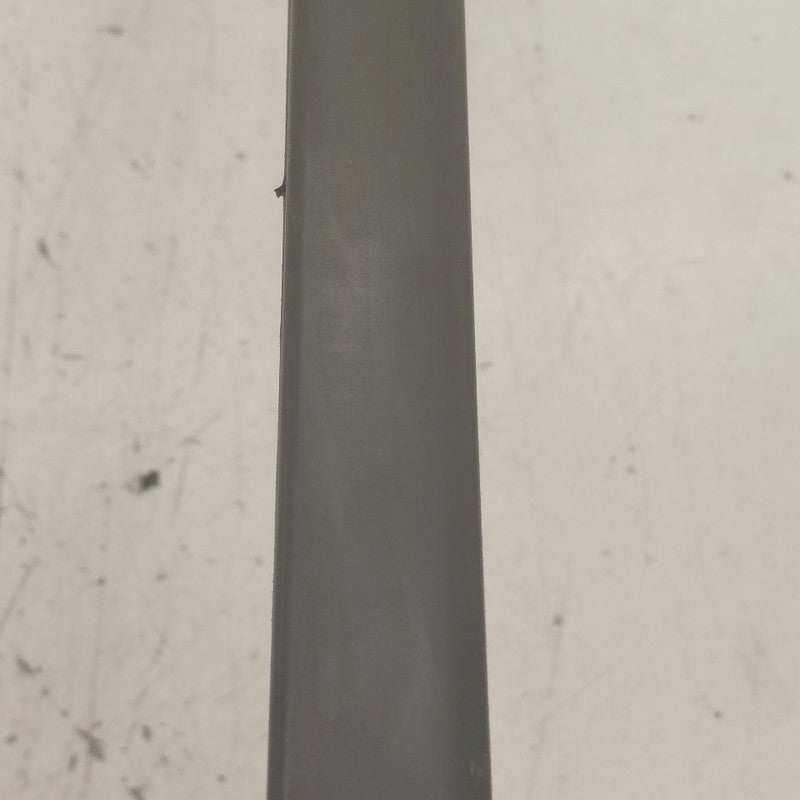 Nissan Rogue Door Glass Window Weather Strip Trim Rear Left Driver Bac