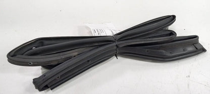 Nissan Versa On Door Seal Rubber Left Rear Back 2009 2010 2011 2012 OE