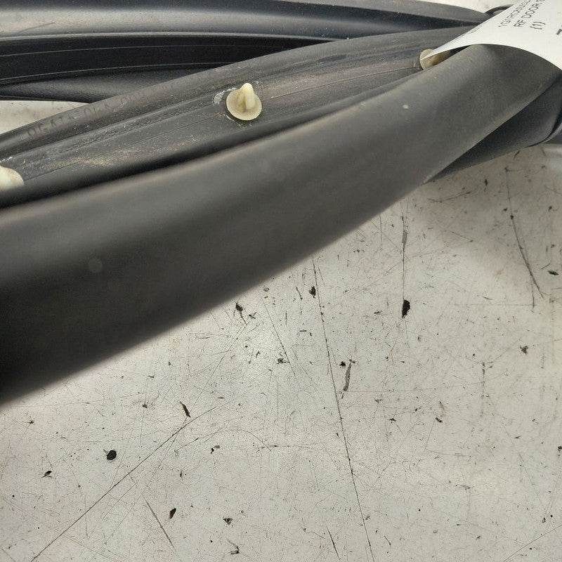 Chevy Volt On Door Seal Rubber Right Passenger Front  2019 2018 2017 2